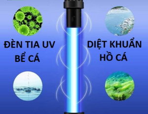 59. Đèn Uv Diệt Khuẩn Hồ Cá 2