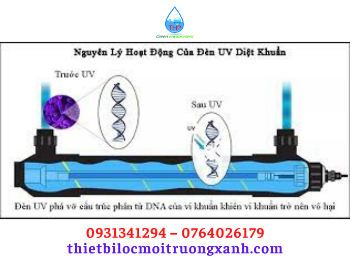 130. Nguyên Lý Hoạt động Của đèn Uv Diệt Khuẩn 2